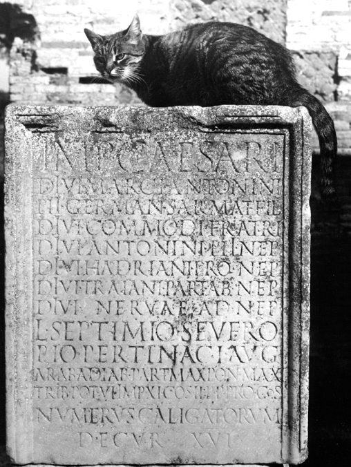 EDR: Epigraphic Database Roma